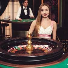 leao bet 333